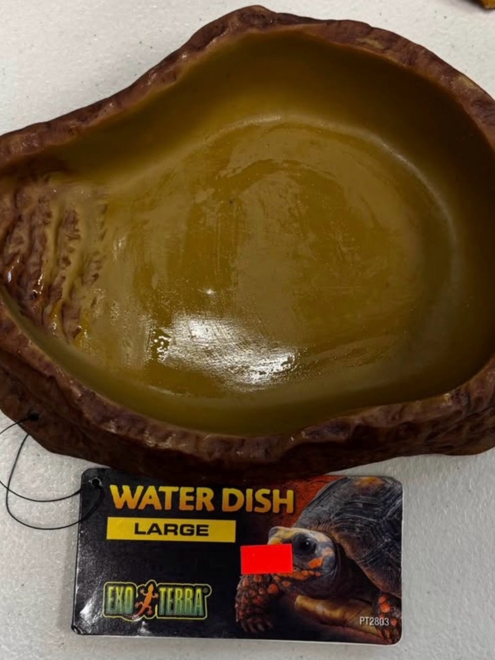 Large Reptile Water Dish - Brown/Olive